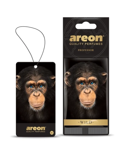 Areon-Wild-Professor.webp